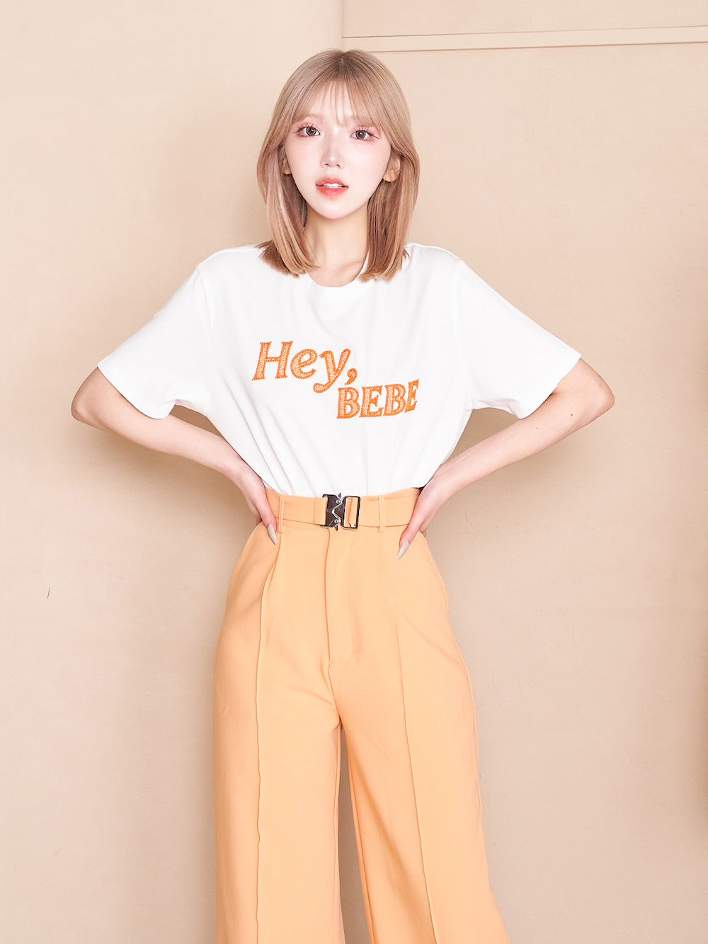 シアーエンブロイダリーTシャツ – Darich (ダーリッチ)