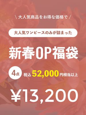 2023年新春福袋(ワンピース)